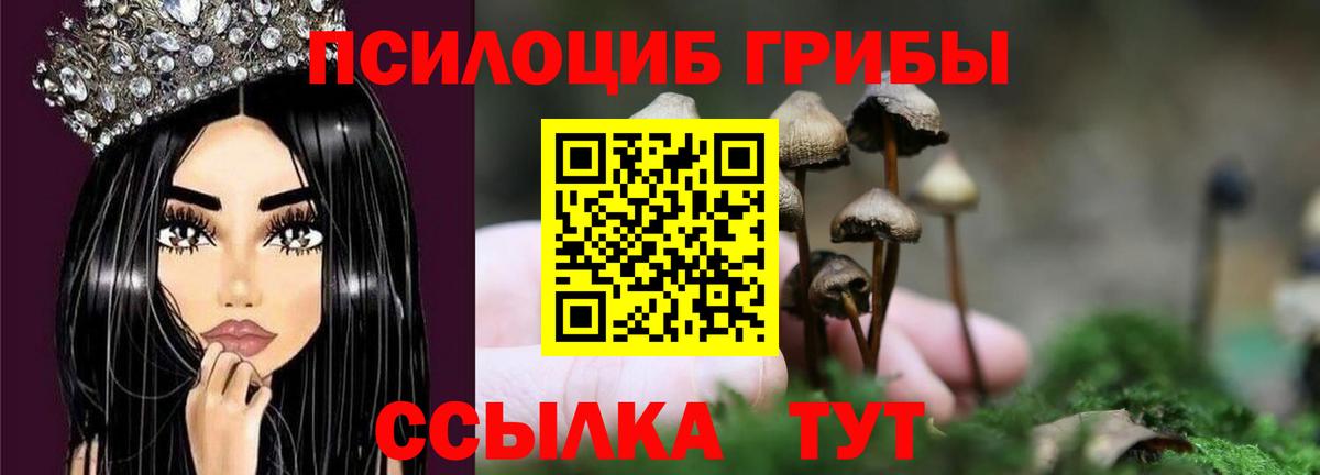Псилоцибиновые грибы мицелий  Вход с VPN  Галлюциногенные грибы Psilocybe  Биробиджан 